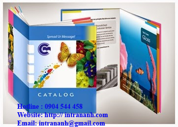 in catalogue giá rẻ