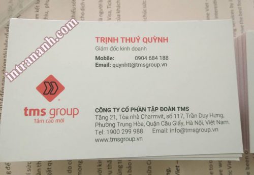 in card visit cho công ty tms